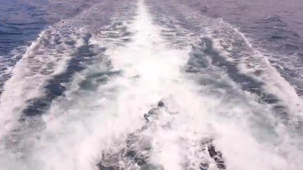 Observation Des Sentiers Surface Mer — Video