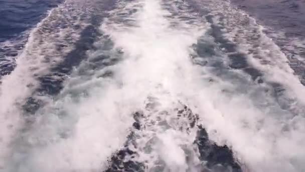 Observation Des Sentiers Surface Mer — Video