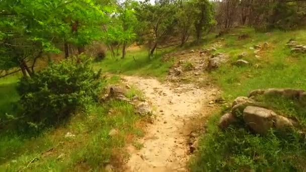 Walking Dangerous Path Sharp Rocks — Video
