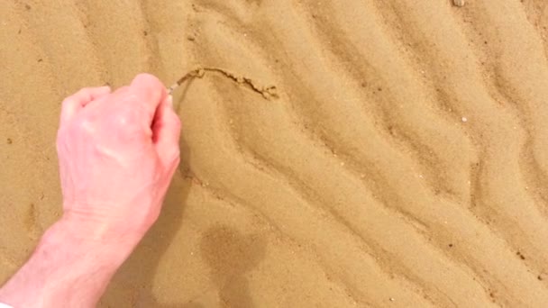 Woman Hand Drawing Hearts Wet Sand Shore — Vídeo de stock