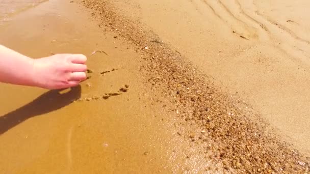 Woman Hand Drawing Hearts Wet Sand Shore — Vídeo de stock
