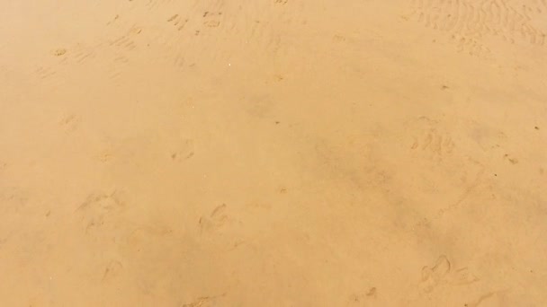 Mar Praia Areia — Vídeo de Stock