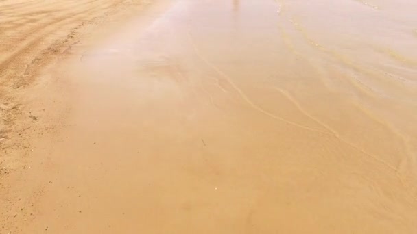 Deniz Sandy Beach — Stok video