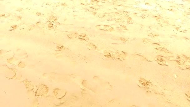 Footsteps Sand Beach Sea — Stockvideo