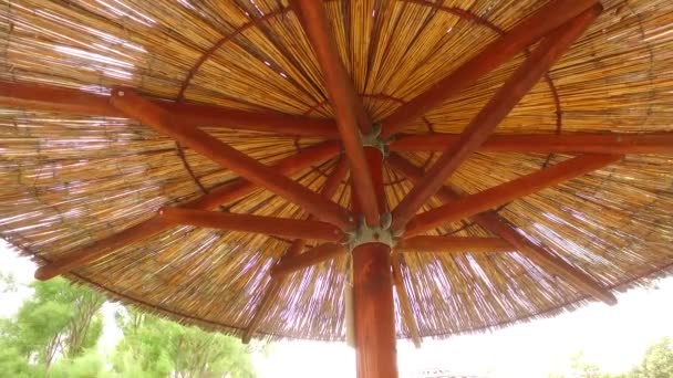 View Reed Straw Beach Umbrella — Stock video