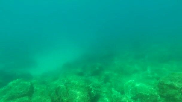 Наблюдаю Водой Реальные Кадры Море — стоковое видео