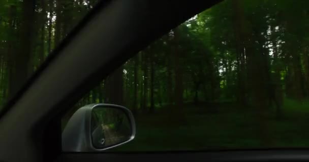 Observing Nature Back Door Car Mirror Dense Green Forest — Stock video