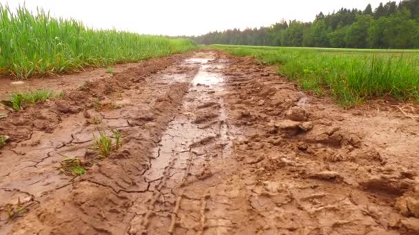 Lot Rain Wet Muddy Path Field — Stock videók