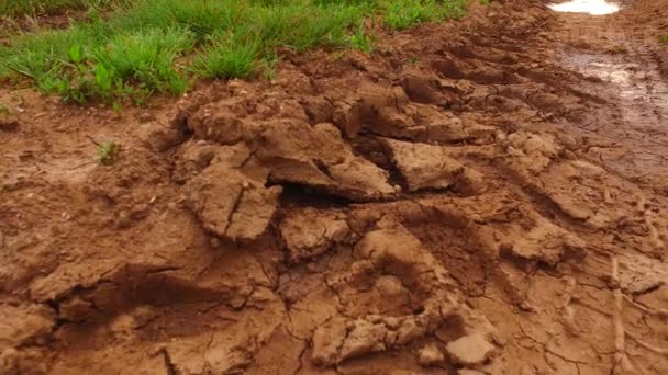 Lot Rain Wet Muddy Path Field — Video
