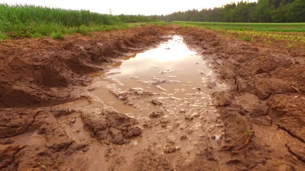地里湿湿的泥泞的路上下了很多雨 — 图库视频影像
