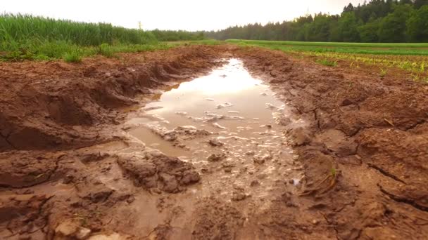 Lot Rain Wet Muddy Path Field — Vídeo de stock
