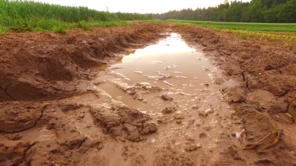 Lot Rain Wet Muddy Path Field — Vídeo de Stock