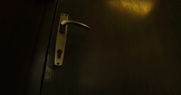 Hitch Wooden Doors — 图库视频影像