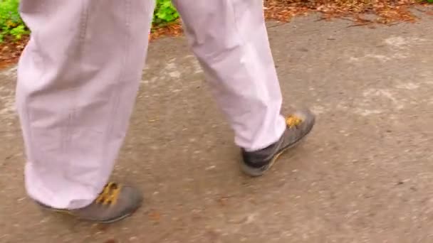 Homem Caminhando Caminho Florestal — Vídeo de Stock