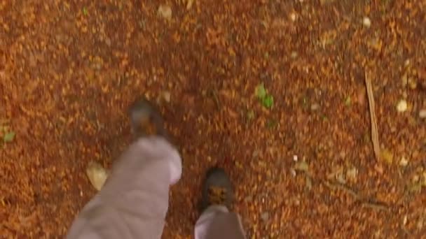 Man Walking Drodze Leśnej — Wideo stockowe