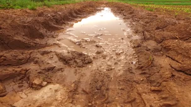 Lot Rain Wet Muddy Path Field — Stock video