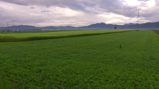 Observando Escuro Tempestuoso Dia Nublado Carro — Vídeo de Stock