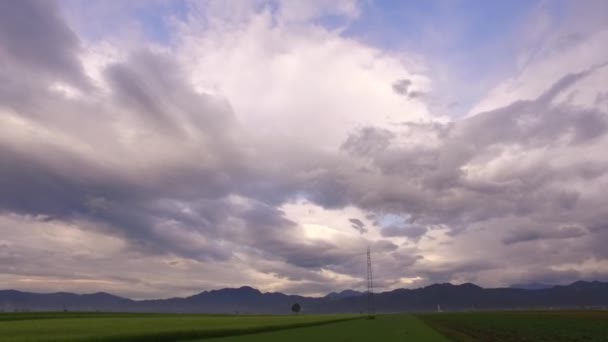 Observation Une Journée Sombre Orageuse Nuageuse Depuis Une Voiture — Video