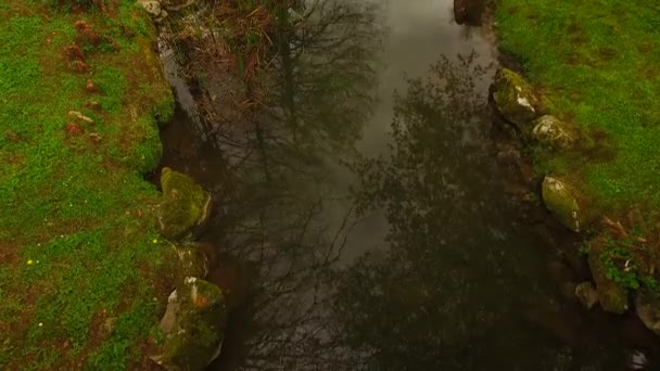 Petit Ruisseau Dans Forêt Printanière — Video