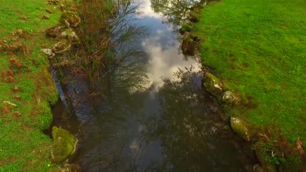 Piccolo Ruscello Nella Foresta Primaverile — Video Stock