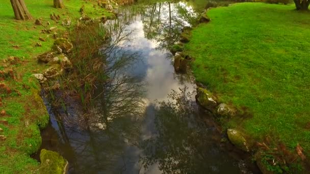 Small Stream Spring Forest — Stock Video