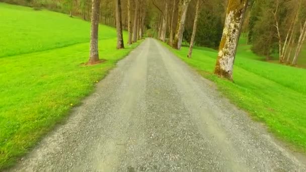 Spaziergänge Und Naturbeobachtungen Frühlingspark — Stockvideo