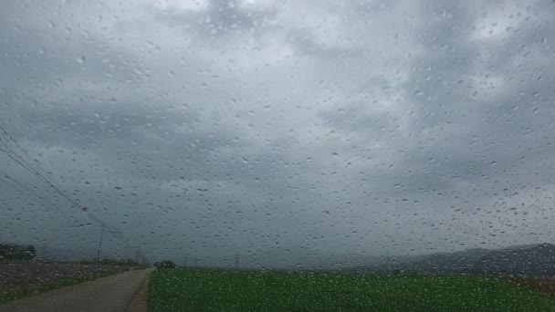 Obserwowanie Deszczowej Natury Samochodu Przygnębiona Pogoda Deszcz Zimno — Wideo stockowe