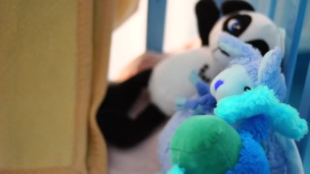 Vários Brinquedos Pelúcia Muito Coloridos Berço Madeira Bio — Vídeo de Stock