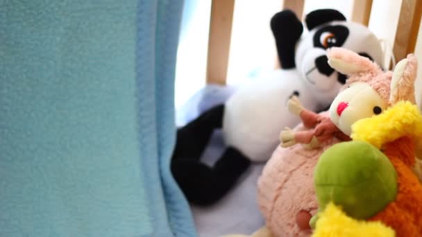 各种五彩缤纷的毛绒玩具在木制的生物婴儿床里 — 图库视频影像
