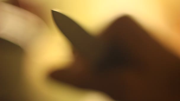 Ostrý Hrot Makra Nože Nebezpečné Vrahu Vrah — Stock video