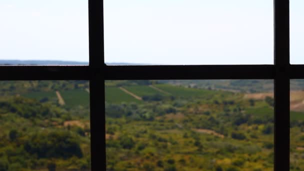 Observando Libertad Naturaleza Los Pueblos Día Verano Través Cárcel Como — Vídeo de stock