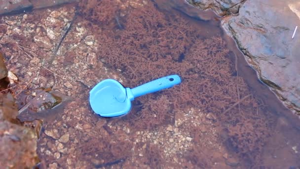 Lost Toy Shovel Sea Water Shore — Stock video