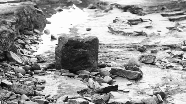 Pebbles Small Big Rocks Background Shore Sea — 图库视频影像