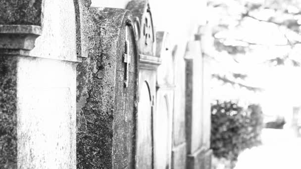Staré Zchátralé Památky Velmi Starém Již Chátrajícím Hřbitově — Stock video