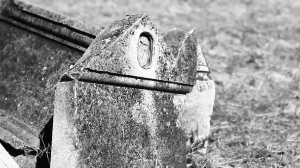 Antiguo Cementerio Estatuas Último Lugar Descanso Morbid — Vídeos de Stock