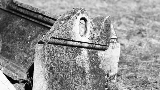 Vecchio Cimitero Statue Esso Ultimo Luogo Riposo Morbid — Video Stock