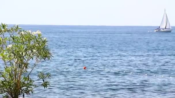 Small Motor Boat Approaching Buoy Markers Dividing Swimming Safe Area — Wideo stockowe