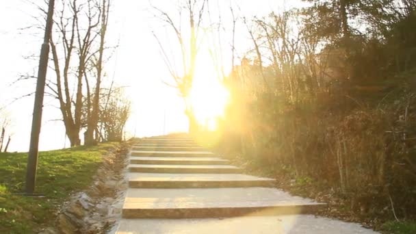 Stoned Stairs Park Sunset — ストック動画