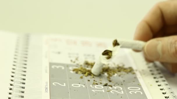 Begreppet Sluta Röka Cigaretter Kalender Handflata — Stockvideo