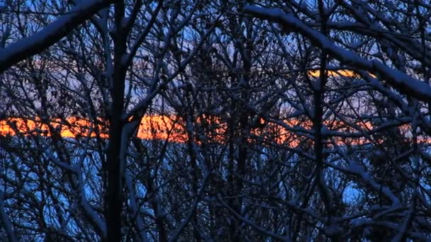 寒い冬の公園で壮大な夕日 — ストック動画