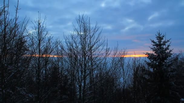寒い冬の公園で壮大な夕日 — ストック動画