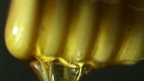 Macro Extremo Miel Una Cuchara Madera Gotas Hacia Abajo — Vídeos de Stock