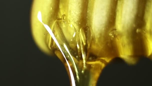 Macro Extrême Miel Sur Une Cuillère Bois Gouttes Vers Bas — Video