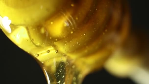 Macro Extremo Miel Una Cuchara Madera Gotas Hacia Abajo — Vídeos de Stock