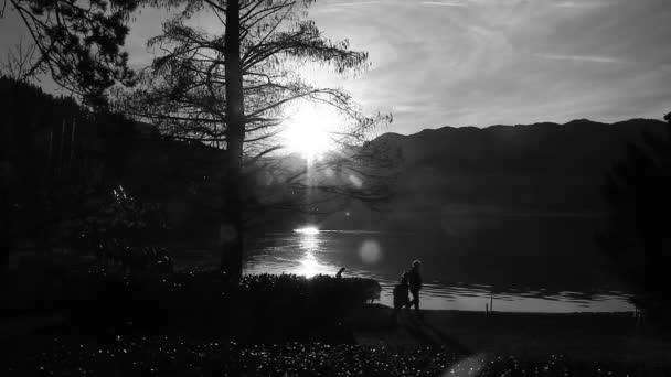 Silhouete Persone Sconosciute Passeggiando Lungo Lago Alla Fine Della Giornata — Video Stock