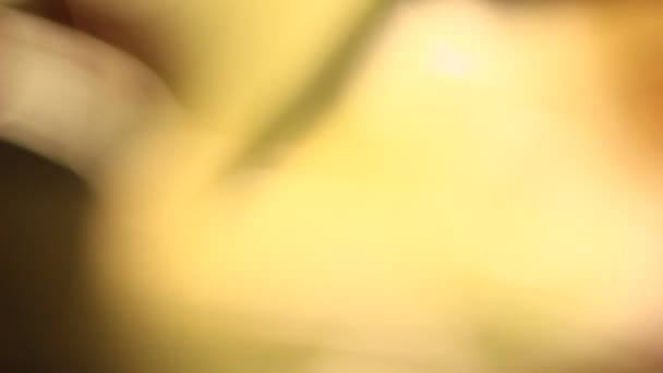 Macro Very Sharp Knife Palm Hand Pointed Camera Vivid Yellow — Video Stock