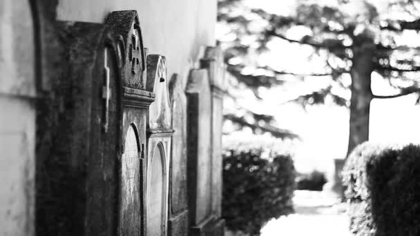 古い墓地とその彫像 最後の休憩所だ モービッド — ストック動画