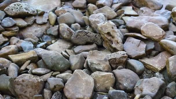 Pebbles Small Big Rocks Background Shore Sea — Vídeos de Stock