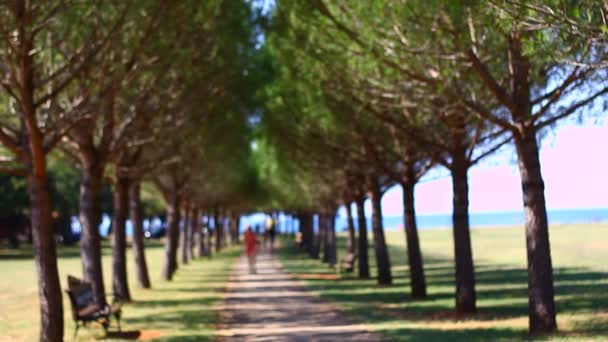 Människor Sommarpark Nära Havet — Stockvideo