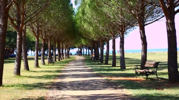 Pessoas Parque Verão Perto Mar — Vídeo de Stock